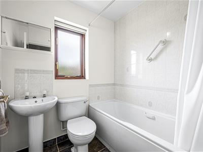 Picture 19